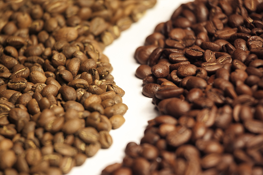 diferenças entre café arábica e café robusta